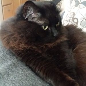 Meet your Posher, Renee